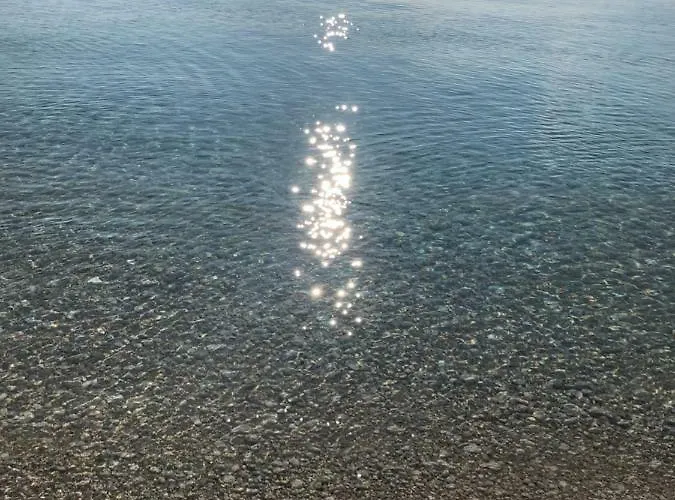 公寓 Vedrana 普拉